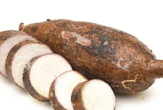Jangan Coba-coba Makan Singkong Mentah, Bisa Sebabkan Kematian - GenPI.co SUMSEL