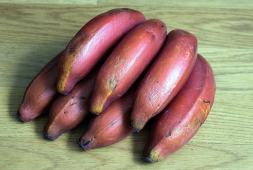 Pisang Merah Dahsyat Banget, 3 Manfaatnya Bagus untuk Tubuh - GenPI.co SUMSEL