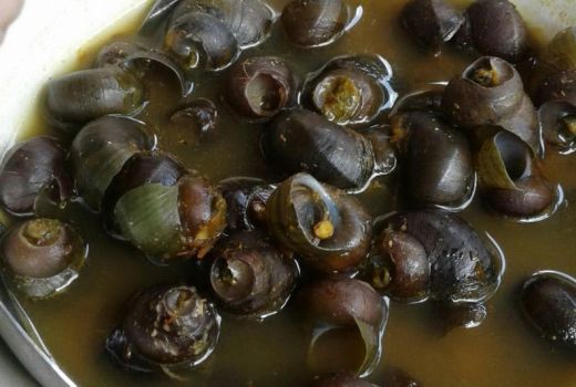 Pernah Makan Tutut? Ternyata 5 Manfaatnya Dahsyat untuk Tubuh - GenPI.co SUMSEL