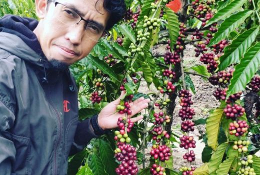 Para Petani di OKU Raya Didorong Budi Daya Kopi Arabika - GenPI.co SUMSEL