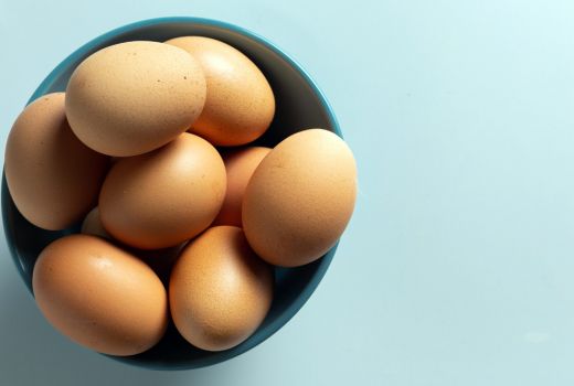 Waspada Bahaya Salmonella pada Telur, Ini Cara Menghindarinya - GenPI.co SUMSEL
