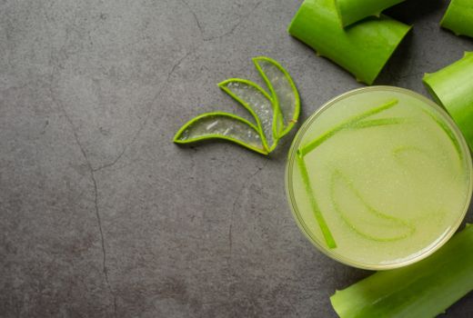 Mau Terlihat Awet Muda? Coba Pakai Lidah Buaya, Begini Caranya - GenPI.co SUMSEL