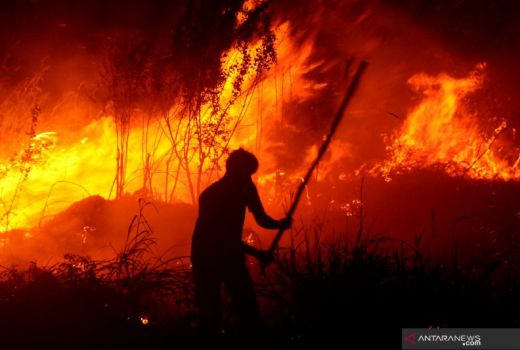 Karhutla Ancam OKU, BPBD Siaga Selama Musim Kemarau - GenPI.co SUMSEL