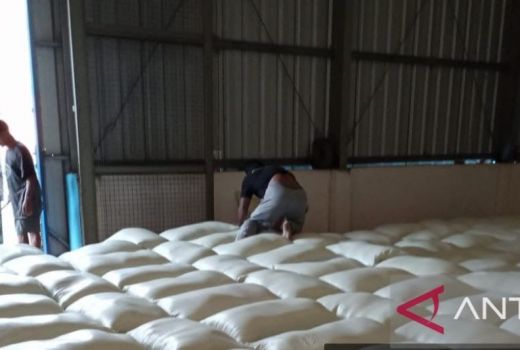 Bulog Targetkan Serap 30 Ribu Ton Beras Hasil Panen Petani OKU Raya - GenPI.co SUMSEL