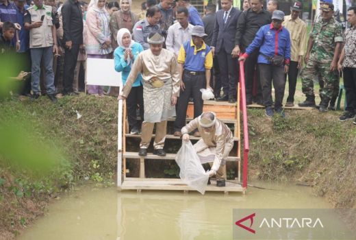 Pj Bupati OKU Beber Manfaat Kampung Budi Daya Ikan Gabus - GenPI.co SUMSEL