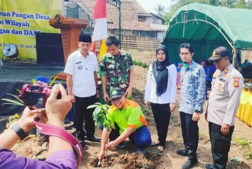 Cegah Bencana Alam, 18.250 Bibit Pohon Ditanam di OKU Selatan - GenPI.co SUMSEL