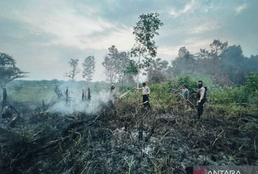 Polisi Tangkap Warga Pembakar Lahan Pertanian di Muba - GenPI.co SUMSEL
