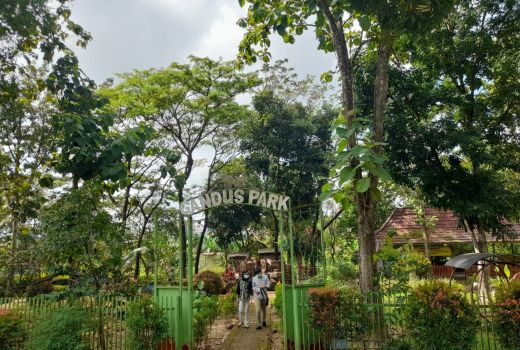 Taman Kupu-kupu Palembang Telantar, Kepala DPKP: Tak Ada Anggaran - GenPI.co SUMSEL