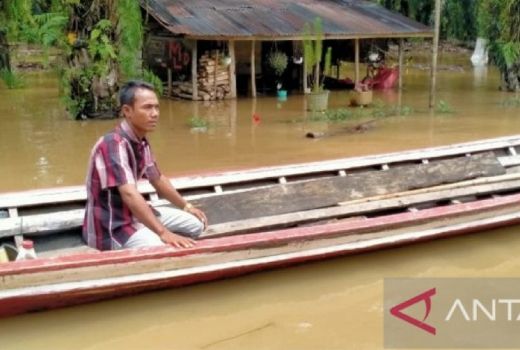 Perhatian, 171 Rumah di Tapanuli Selatan Terendam Banjir - GenPI.co SUMUT