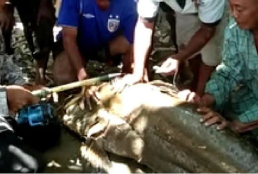 Mengejutkan, Warga Tebing Tinggi Heboh Gegara Ini - GenPI.co SUMUT