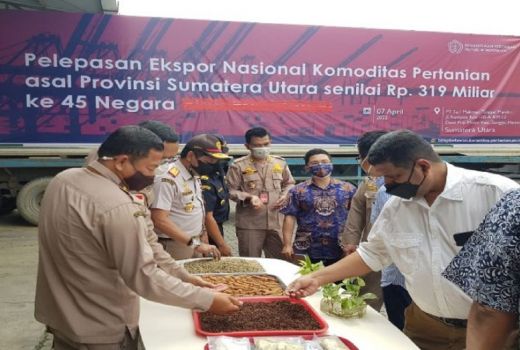 Sumut Nikmati Cuan Ekspor Lobak Rebus ke Jepang - GenPI.co SUMUT