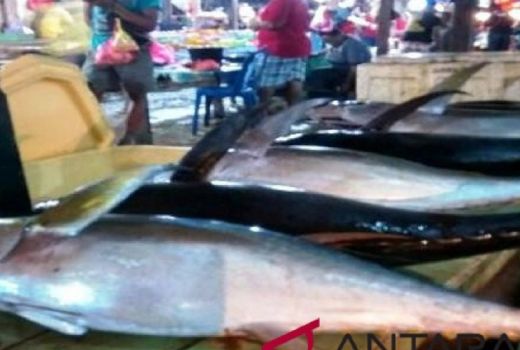Tips Sederhana Hilangkan Bau Amis pada Ikan - GenPI.co SUMUT