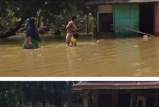 Banjir di Langkat, 20 Rumah Terendam - GenPI.co SUMUT