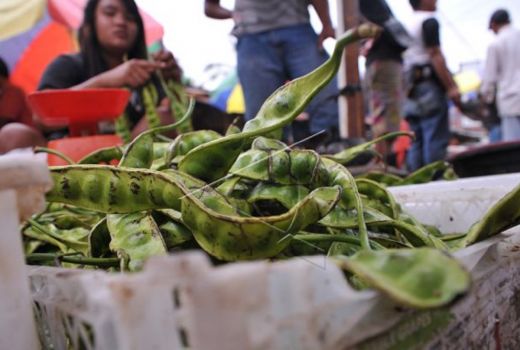 Simak Manfaat Jengkol untuk Pengidap Diabetes - GenPI.co SUMUT