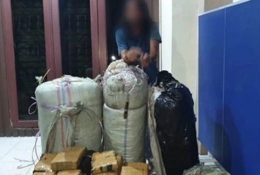BNN Sumut Sita 98,3 Kilo Sabu dan 27,4 Kilo Ganja - GenPI.co SUMUT