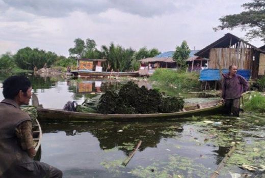 Ini Tujuan Revitalisasi Danau Siombak Medan - GenPI.co SUMUT