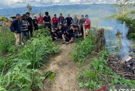 Wow, Polisi Temukan 11 Hektare Lahan Ganja di Madina - GenPI.co SUMUT