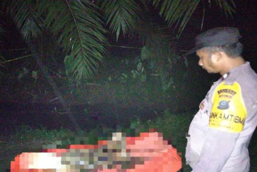Warga Paluta Geger Ada Mayat di Parit Perkebunan Sawit - GenPI.co SUMUT