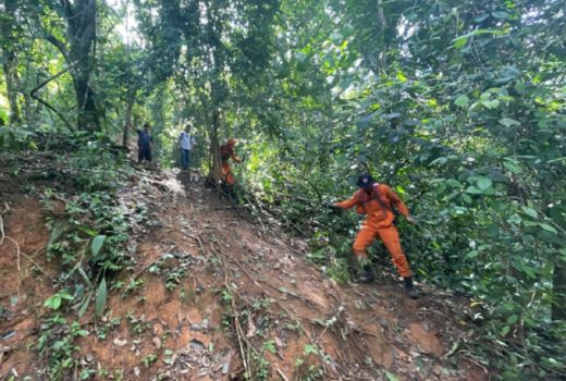 7 Hari di Hutan, Basarnas Medan Hentikan Pencarian Warga - GenPI.co SUMUT