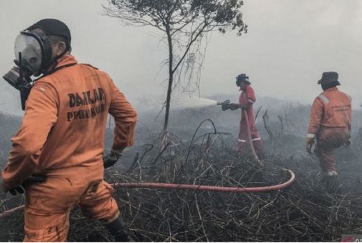BMKG Imbau Warga Sumut Waspada Potensi Karhutla - GenPI.co SUMUT