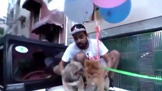 Anjing Diterbangkan dengan Balon, YouTuber India Ditahan Polisi - GenPI.co