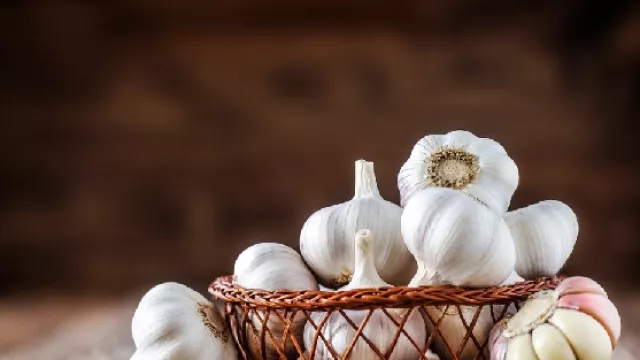 Minum Bawang Putih Campur Madu Khasiatnya Wow Banget, Pasti Kaget - GenPI.co