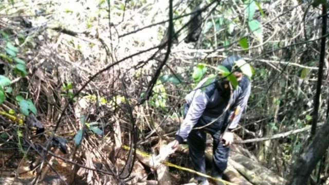 Ditemukan Mayat Tanpa Kepala di Riau, Diduga Diterkam Harimau - GenPI.co