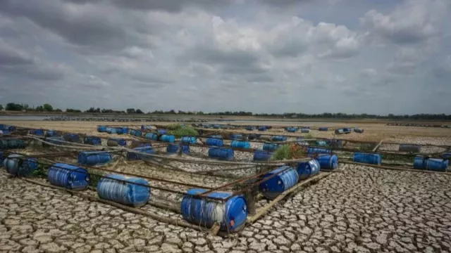 BNPB: Bencana Kekeringan Melanda NTT, NTB, Bali, dan Jatim - GenPI.co