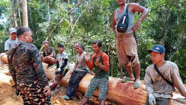 KLHK Hentikan Ilegal Loging di Suaka Margasatwa Riau - GenPI.co