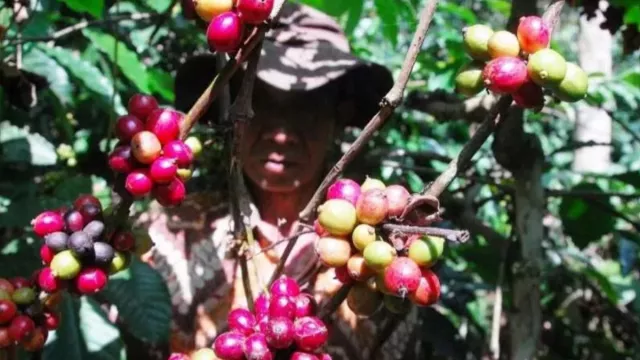 Penan Raya di Depan Mata, Kasus Covid-19 Temanggung Juga Naik - GenPI.co