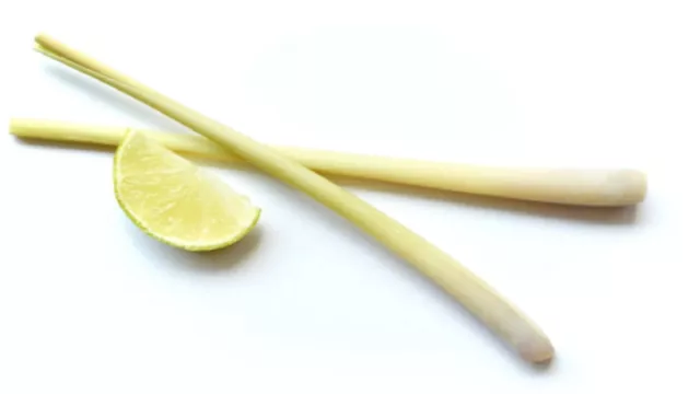 Rutin Minum Serai Dicampur Lemon Tiap Malam Khasiatnya Dahsyat - GenPI.co