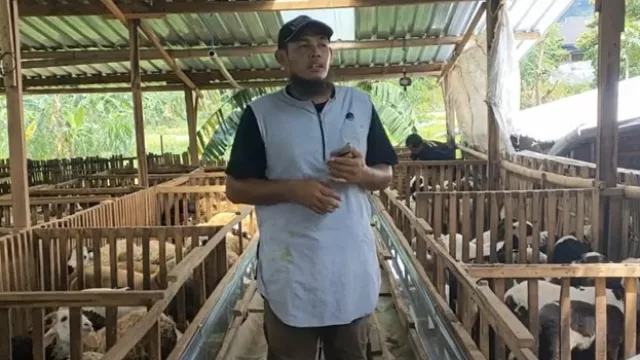 Wow! Awalnya 20 Ekor, Kini Mulyoko Ternak Ribuan Ekor Kambing - GenPI.co