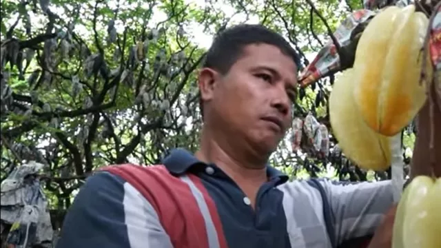 Kebun di Depok, Cuan Bisnis Belimbing Nanang Mencengangkan - GenPI.co