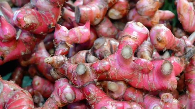 Suami Minum Air Rebusan Jahe Merah Tambah Madu, Istri Makin Cinta - GenPI.co