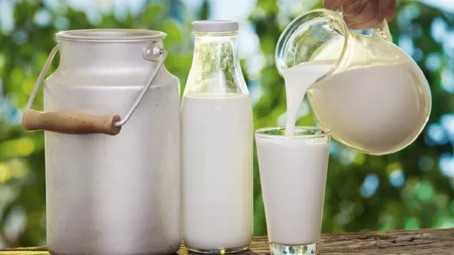 Benarkah Minum Susu Sebulan bisa Bersihkan Paru-paru? - GenPI.co