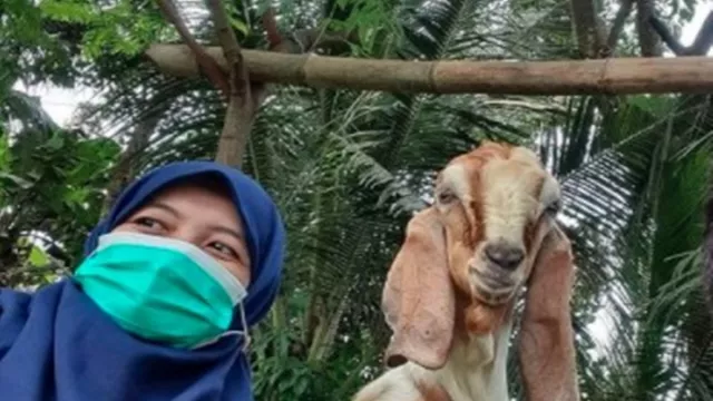 Wanita Miliki Gelar Akademisi Berderet, Dari Dosen Bisnis Kambing - GenPI.co