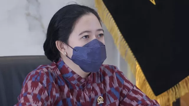 Puan dkk Mengkritik Jokowi, Boni Hargens: Tidak Ada Masalah - GenPI.co