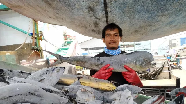 Ikan Tenggiri Khasiatnya Luar Biasa, Ampuh Atasi Gejala Depresi - GenPI.co