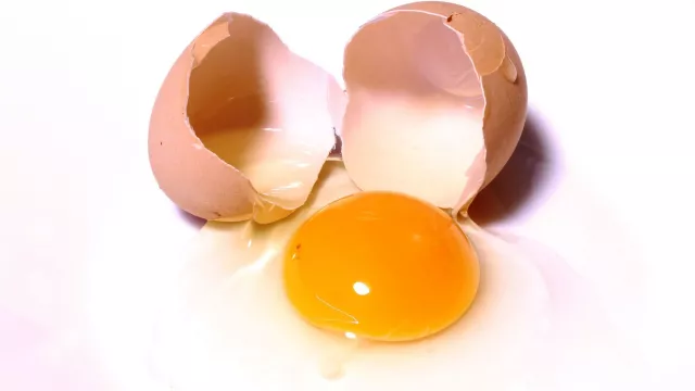 Mencengangkan, Kuning Telur Ternyata Baik untuk Kolesterol - GenPI.co