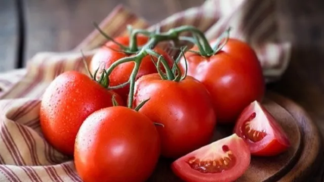 Pria Harus Makan Tomat, Khasiatnya Bisa Meningkatkan Gairah... - GenPI.co Pria Harus Makan Tomat, Khasiatnya Bisa Meningkatkan Gairah... - GenPI.co