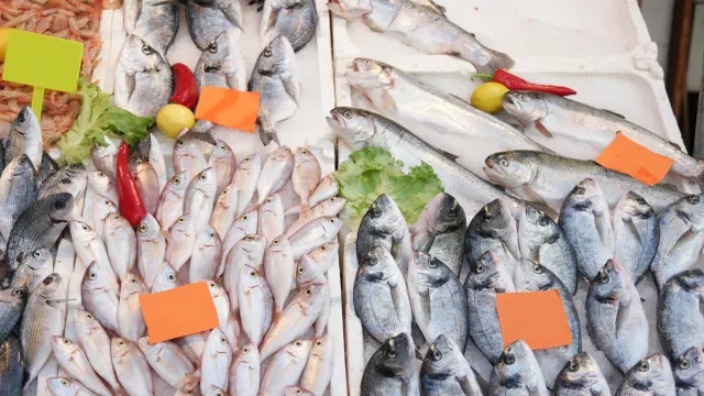 3 Jenis Ikan Sebaiknya Dikonsumsi Penderita Kolesterol - GenPI.co