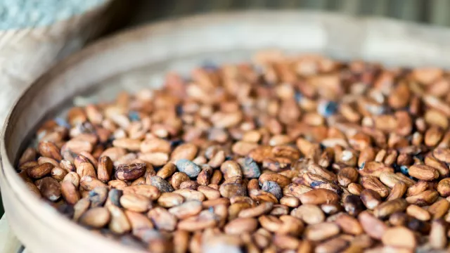 Meski Sepele, Khasiat Makan Kacang Koro Ternyata Mengejutkan - GenPI.co
