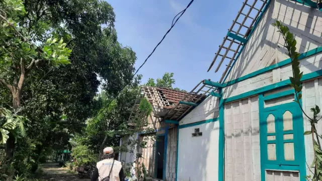 Cuaca Ekstrem, Puluhan Rumah di Blora Tertimpa Pohon Tumbang - GenPI.co