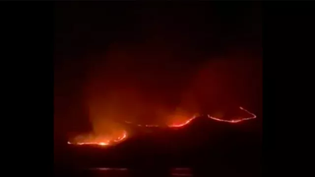 Kebakaran Terjadi di Pulau Rinca, Bagaimana Nasib Komodo? - GenPI.co