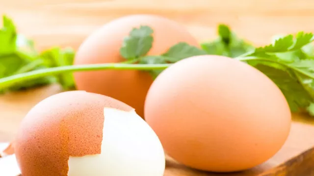 Hindari 7 Kesalahan saat Menyimpan Telur, Dampaknya Berbahaya! - GenPI.co