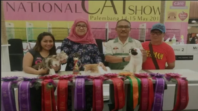 komunitas Kucing Indonesia Sudah Diakui Internasional - GenPI.co