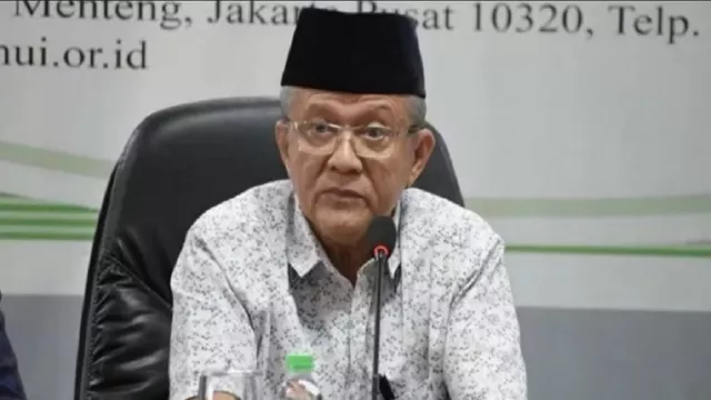 Suara Lantang Anwar Abbas, Kok Berbeda Sedikit Diserang Buzzer? - GenPI.co