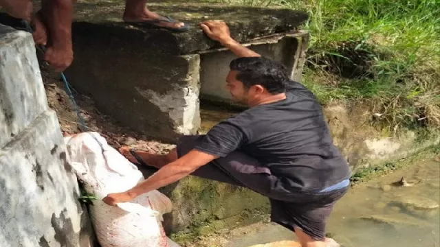Geger, Penemuan Ikan Raksasa di Aceh, Astaga! - GenPI.co