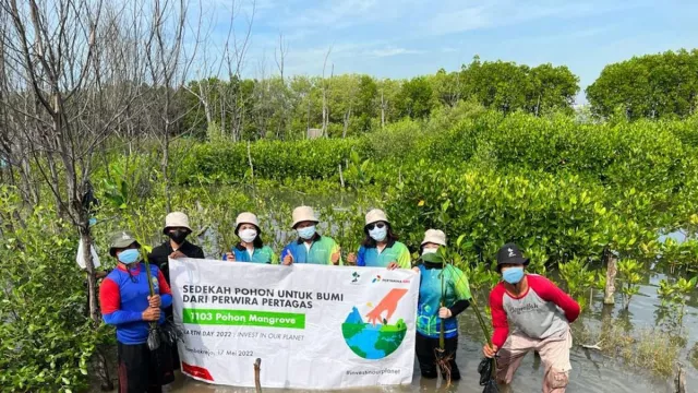 Cegah Intrusi Air Laut, Pertamina Tanam 1.103 Mangrove di Jateng - GenPI.co