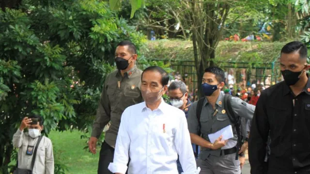 Jokowi Punya Sosok Capres Idaman, Ojo Kesusu! - GenPI.co